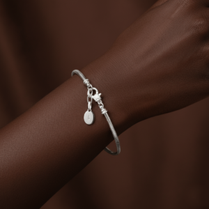 Bracelet ADN d'ici - maille serpentine